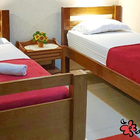 Maple Tree Homestay Maguwo Ngoại thất bức ảnh