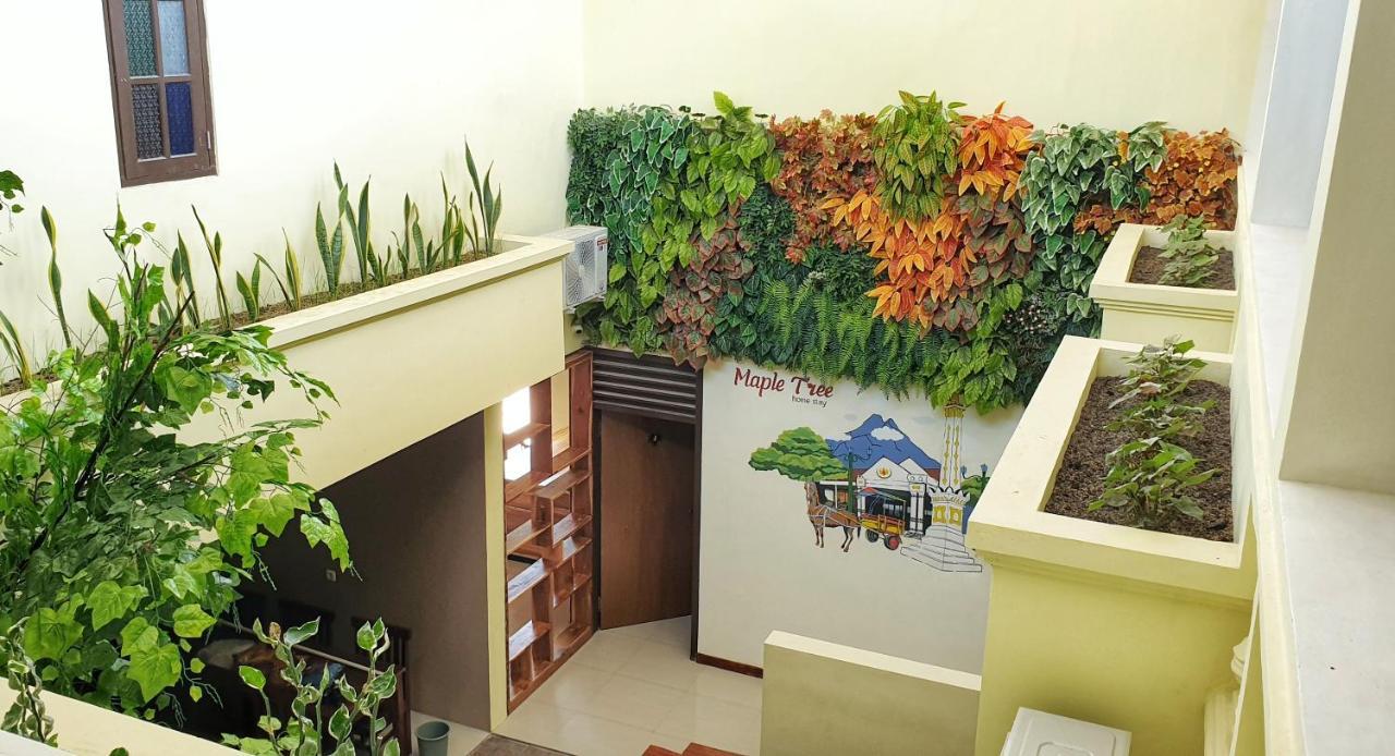 Maple Tree Homestay Maguwo Ngoại thất bức ảnh