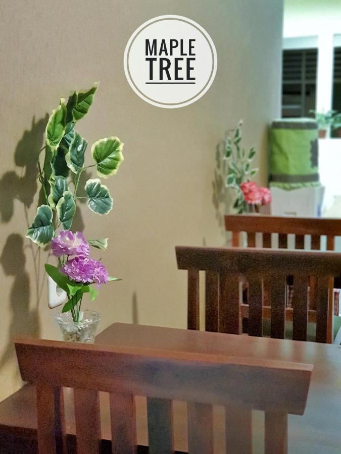 Maple Tree Homestay Maguwo Ngoại thất bức ảnh